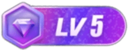 等级-LV5-知梦网创